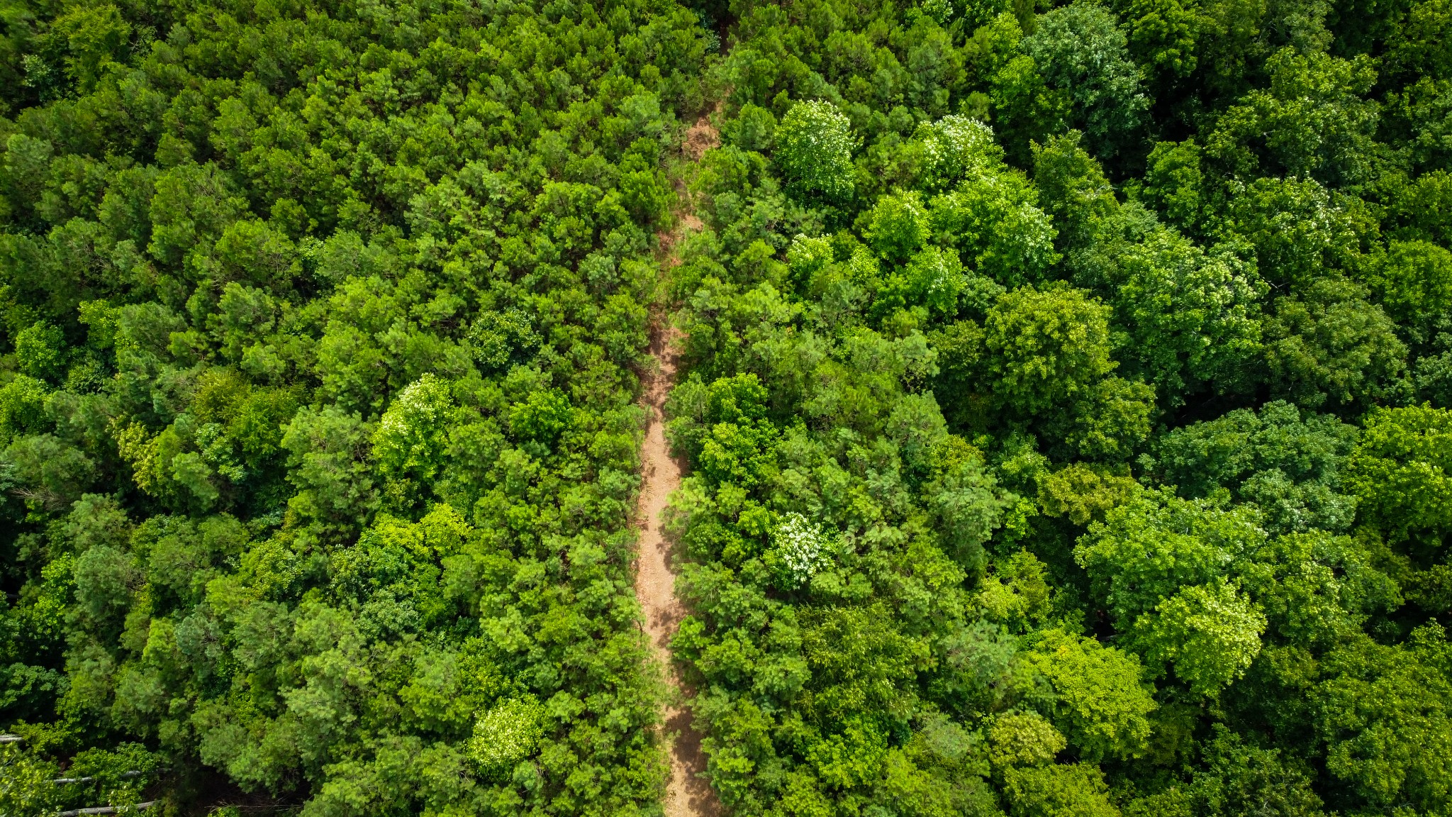 Image 8 of 9 For 0 Falls Branch Road