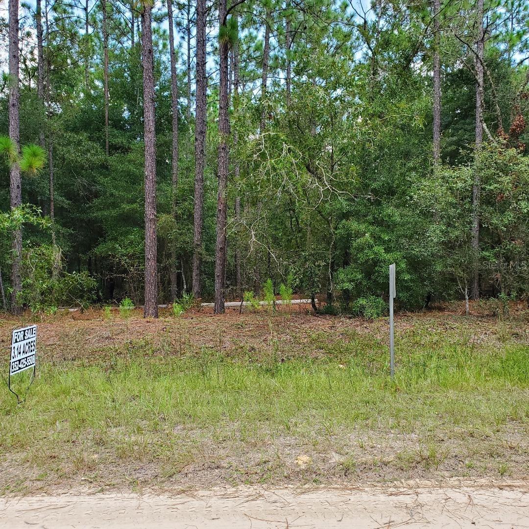 Details for Tbd 136th Ave Rd, OCALA, FL 34481