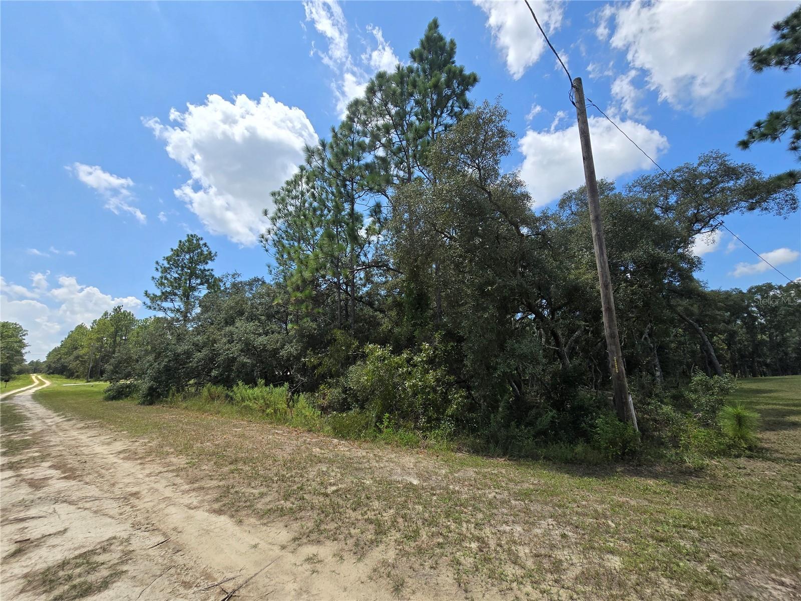 Details for Tbd 122nd Avenue, LOT 10 DUNNELLON, FL 34432