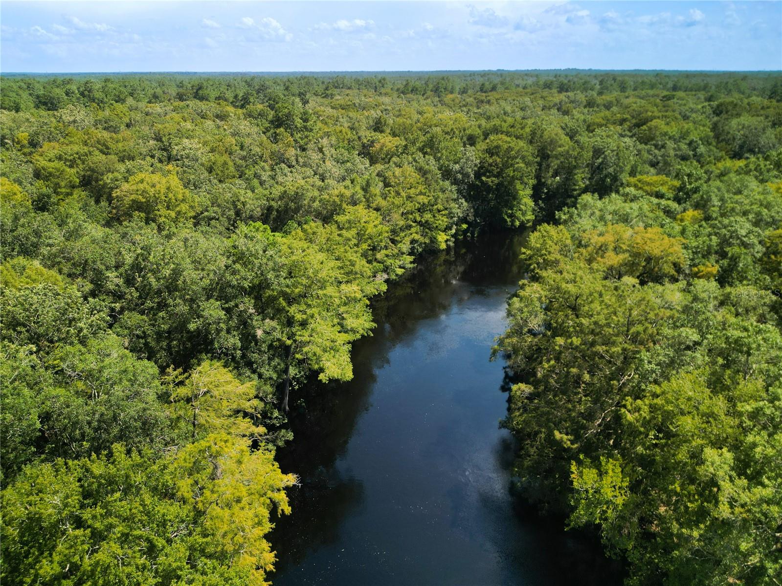 Image 57 of 91 For 10127 Natchez Loop