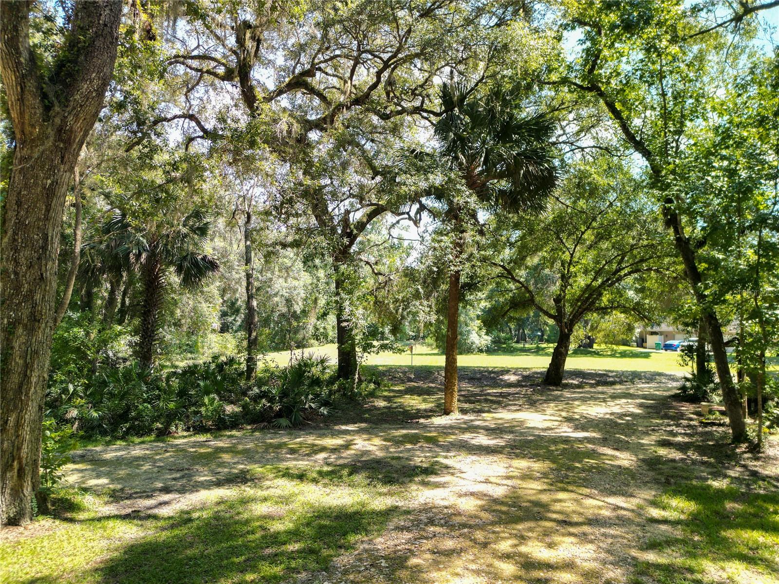 Image 60 of 91 For 10127 Natchez Loop