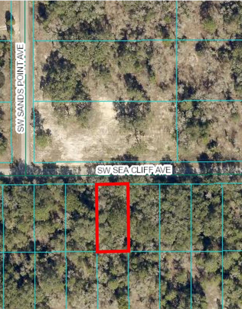 Details for Lot 13 Sea Cliff Avenue, DUNNELLON, FL 34431