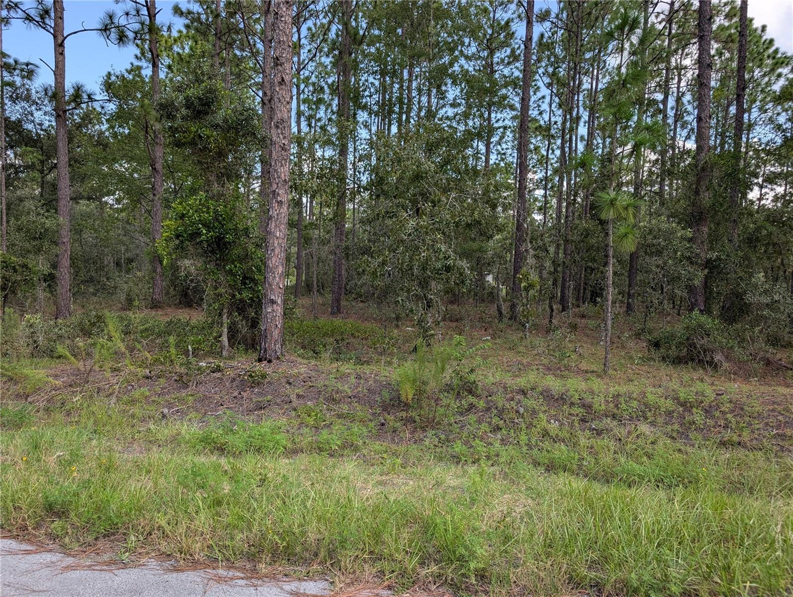 Details for Tbd Foxglove Lane, DUNNELLON, FL 34431