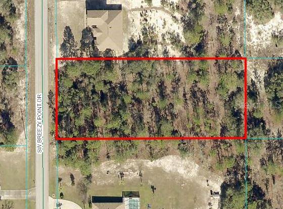 Listing Details for Tbd Sw Breezy Point Dr Lot 22, DUNNELLON, FL 34431