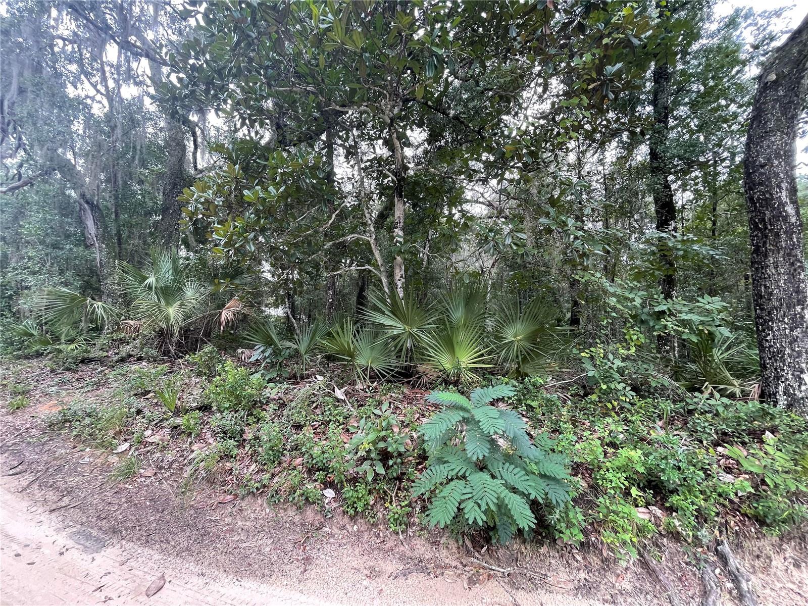 Details for Tbd Ne 199th Place, FORT MC COY, FL 32134