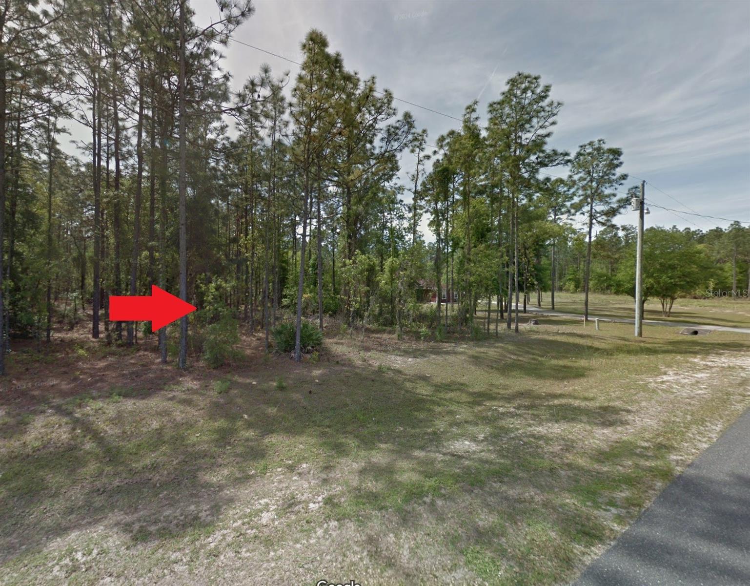 Details for 61st Place Rd, OCALA, FL 34481