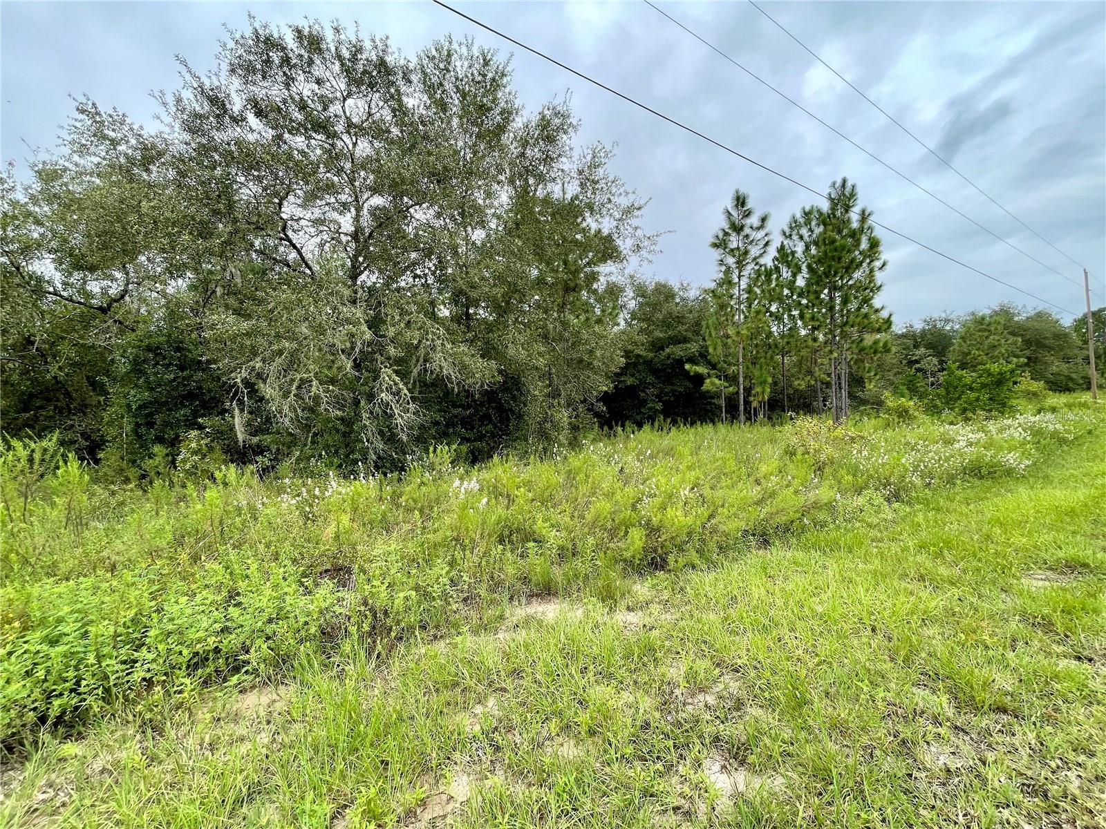 Details for  Floral Ct  , DUNNELLON, FL 34431