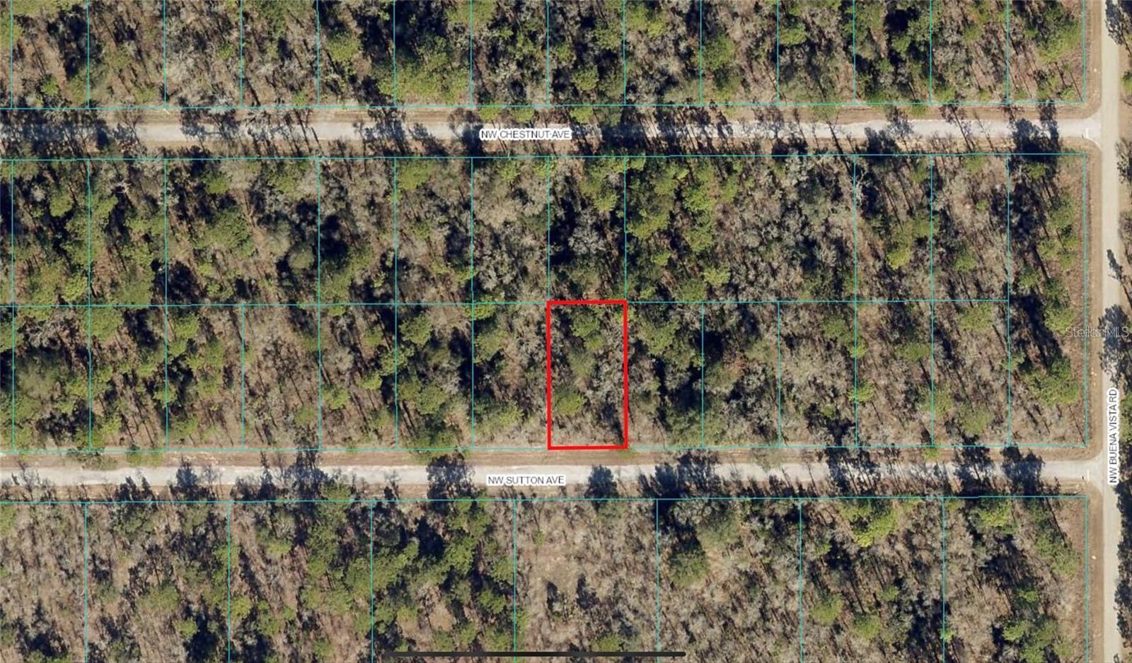 Listing Details for Sutton Avenue, DUNNELLON, FL 34431