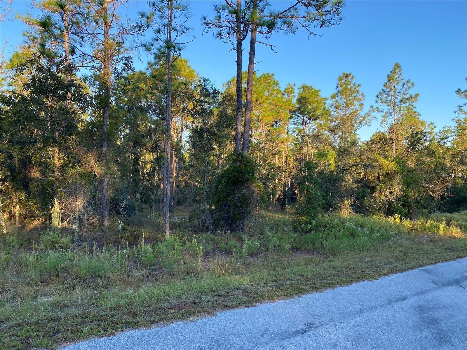 Listing Details for 00 Sunshine Ridge, DUNNELLON, FL 34431