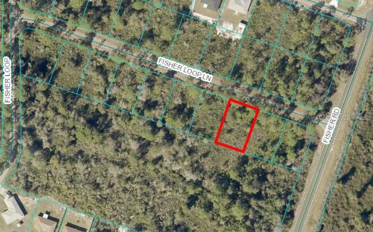 Details for 0 Fisher Loop Lane, OCKLAWAHA, FL 32179