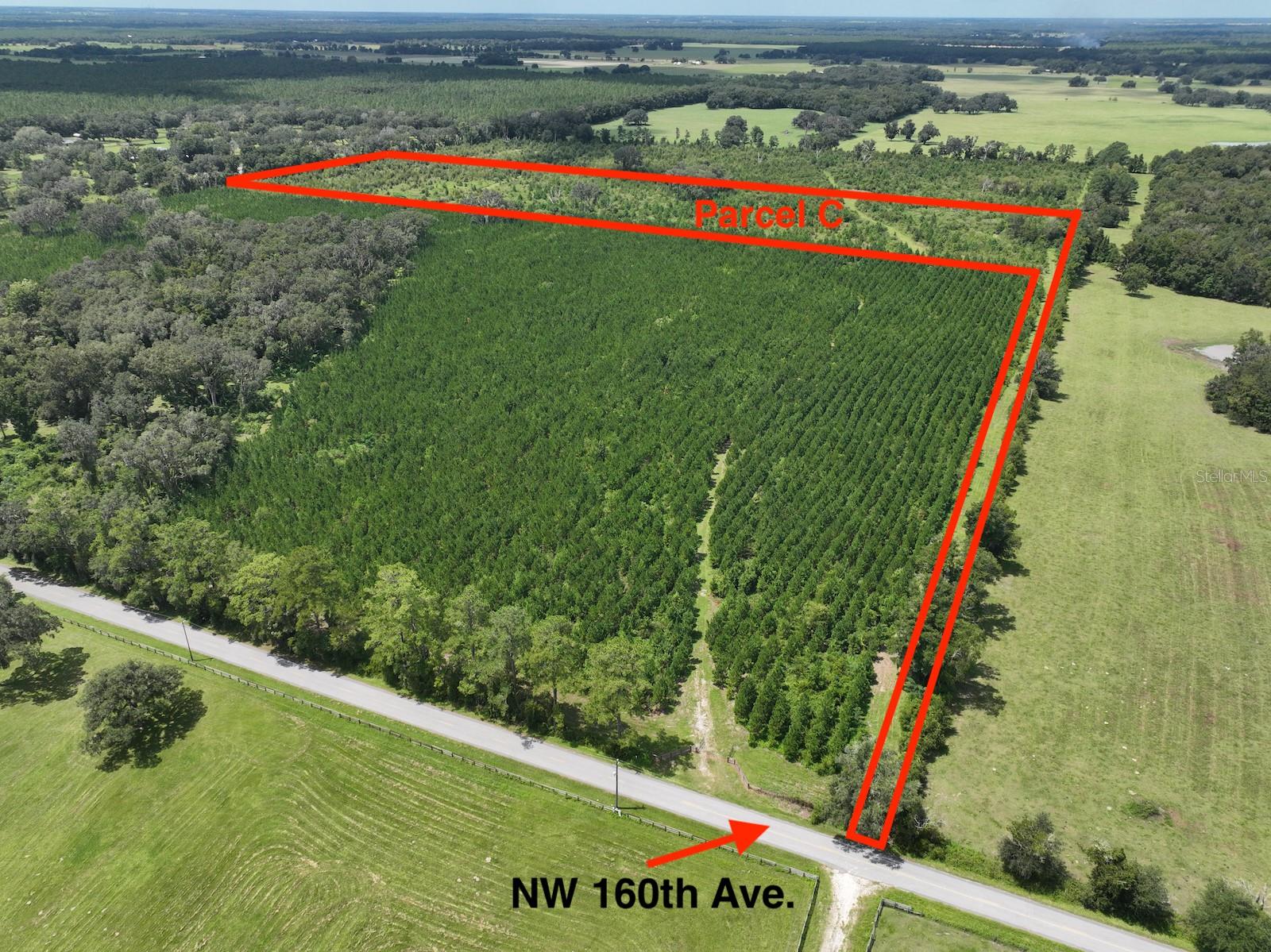 Details for Parcel C 160th Avenue, MORRISTON, FL 32668