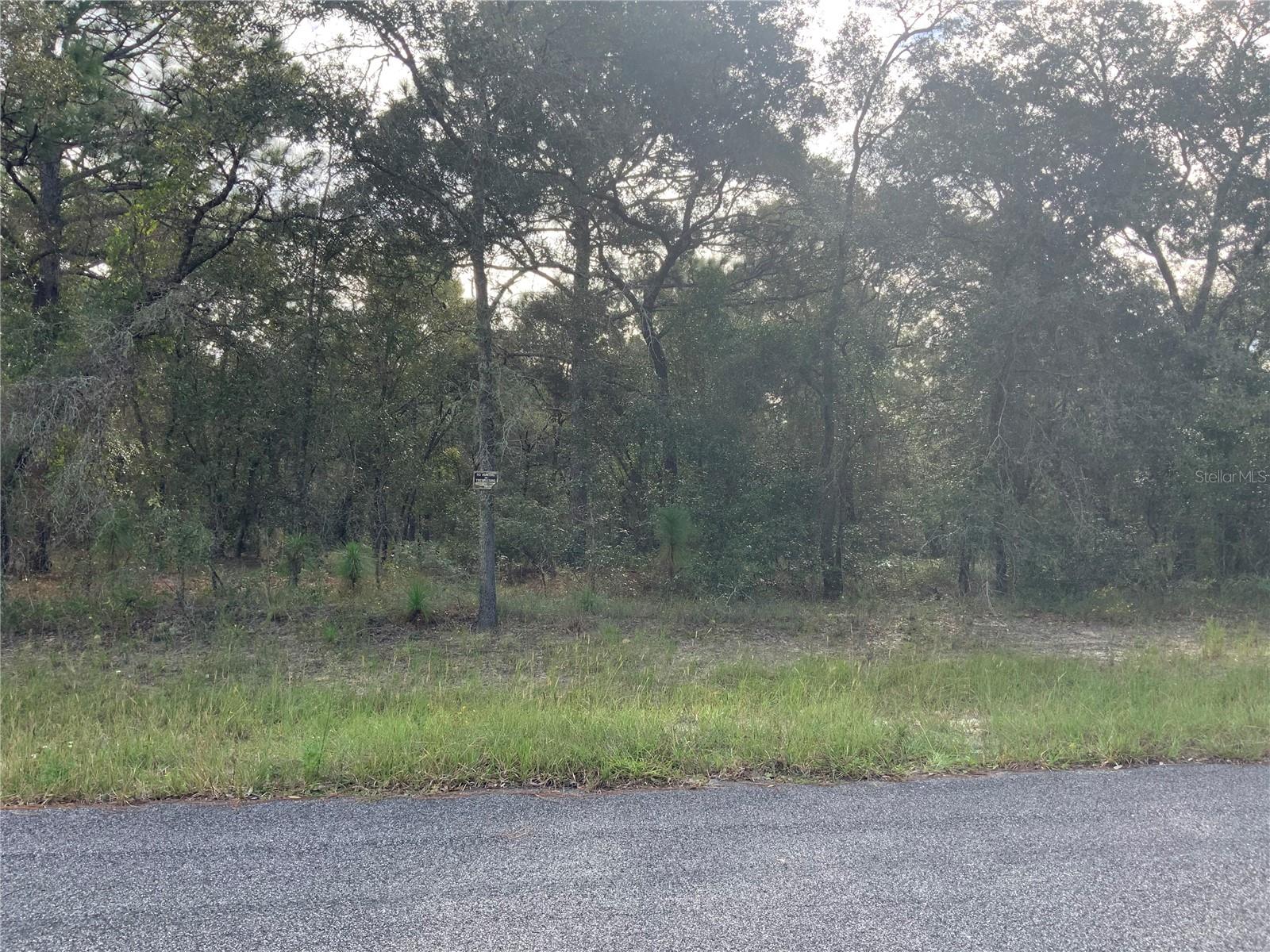 Details for Se 139th Ter Lot 19, MORRISTON, FL 32668