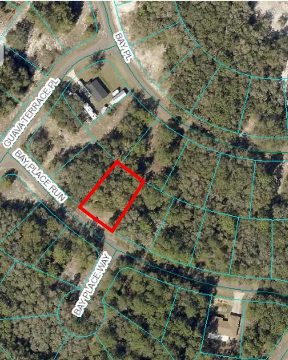 Details for 00 Bay Place Run, OCKLAWAHA, FL 32183