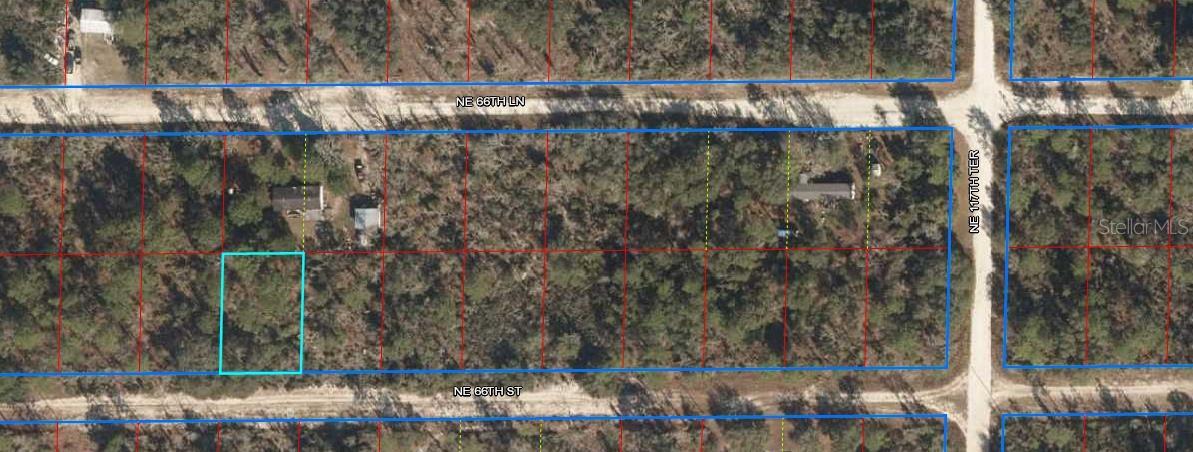 Details for  66th  , WILLISTON, FL 32696