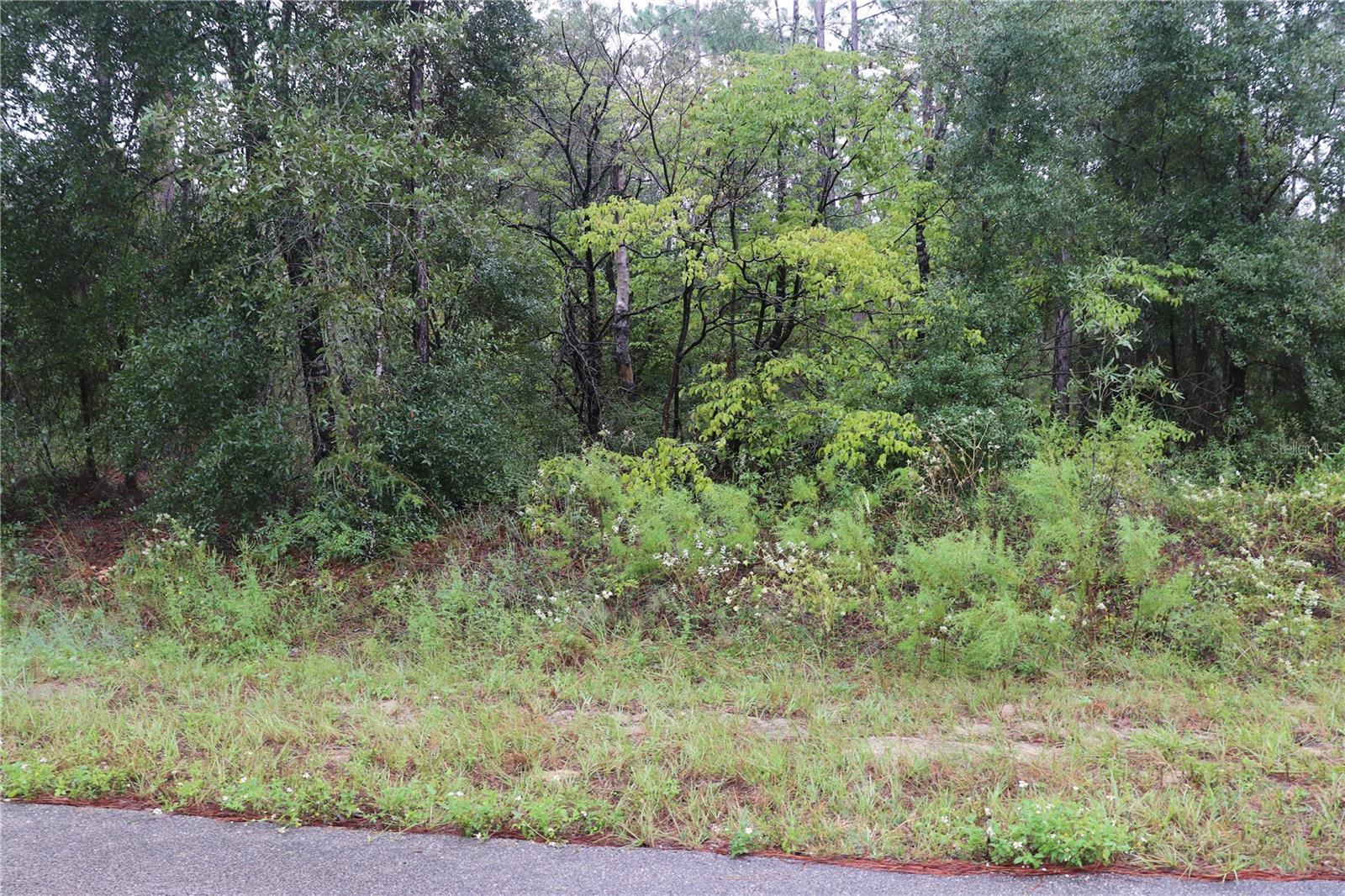 Image 4 of 5 For 00 Beuna Vista Rd