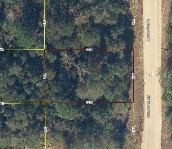 Listing Details for Lot 20 Usina Avenue, INTERLACHEN, FL 32148