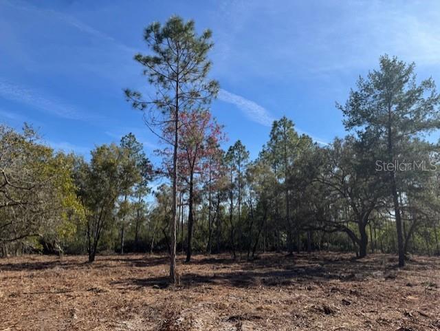 Image 15 of 18 For 11901 Ne 150th Ave Road