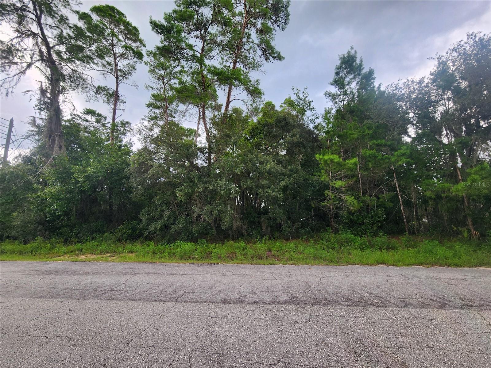 Details for 3008 Clearwood Street, INVERNESS, FL 34452