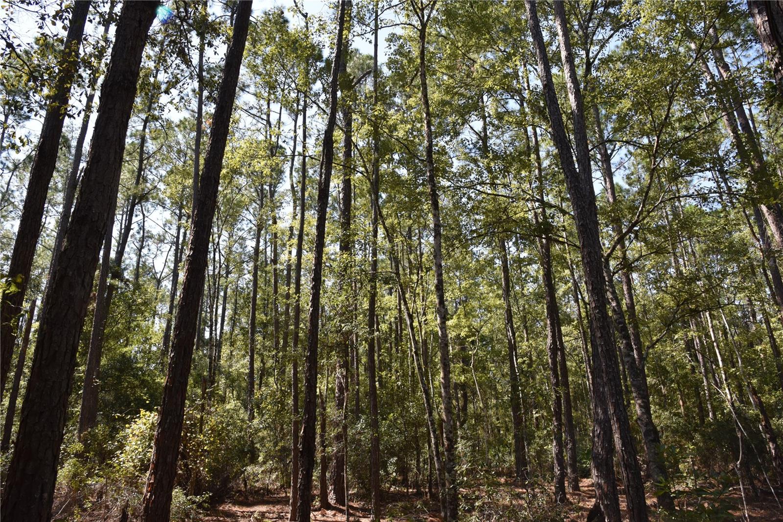 Image 10 of 31 For  24th Avenue 