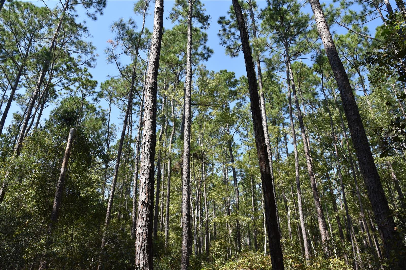 Image 11 of 31 For  24th Avenue 