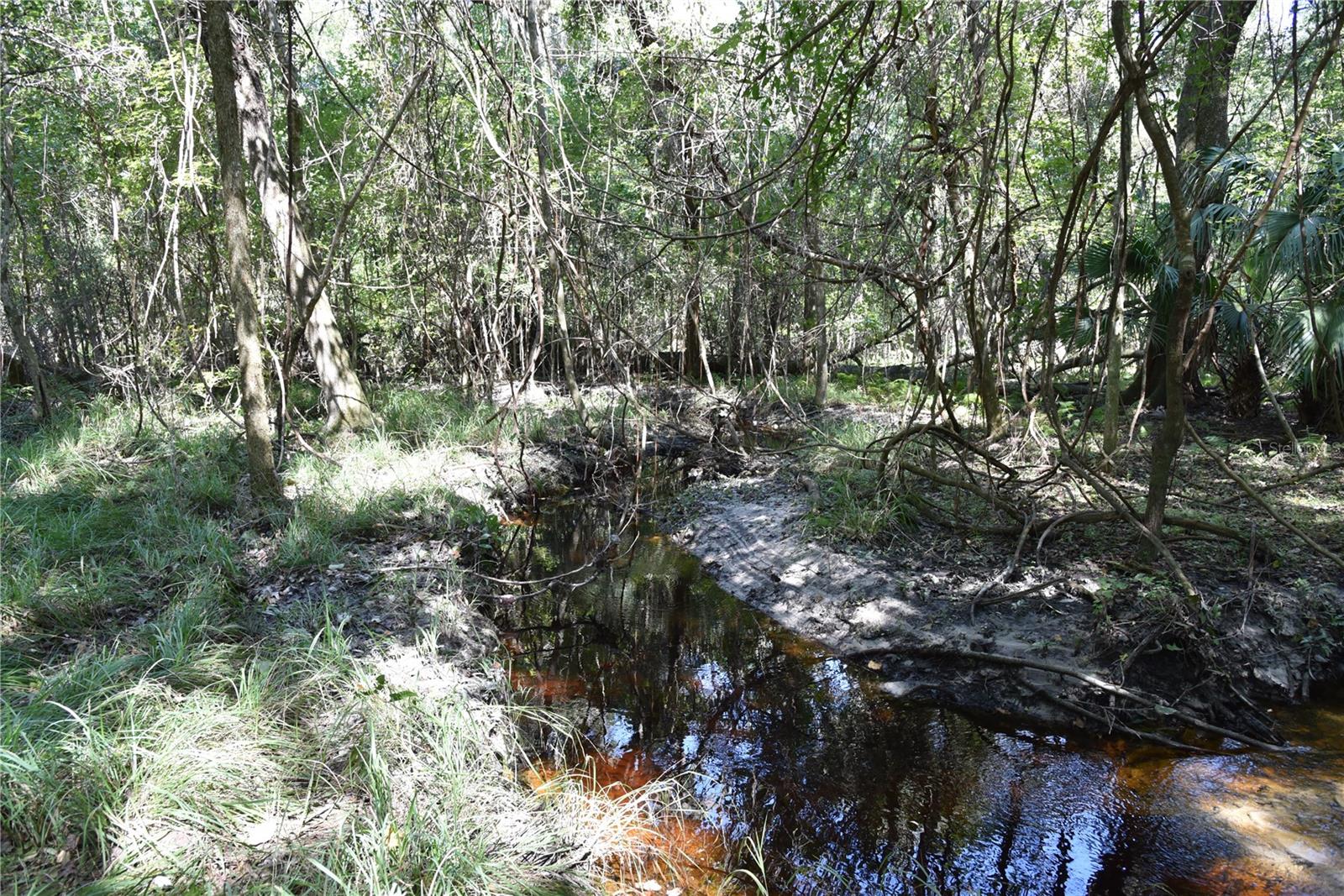 Image 12 of 31 For  24th Avenue 