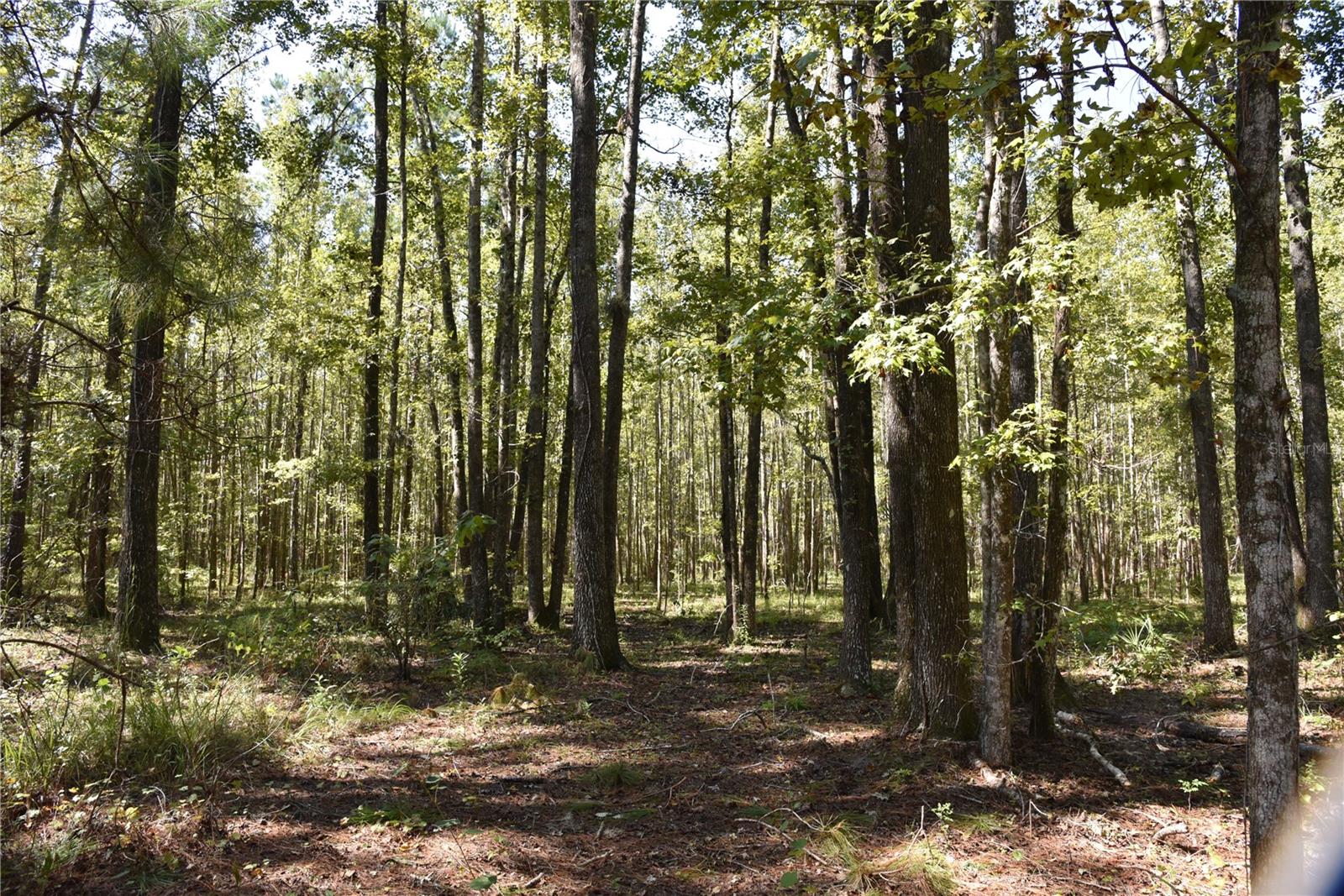 Image 14 of 31 For  24th Avenue 