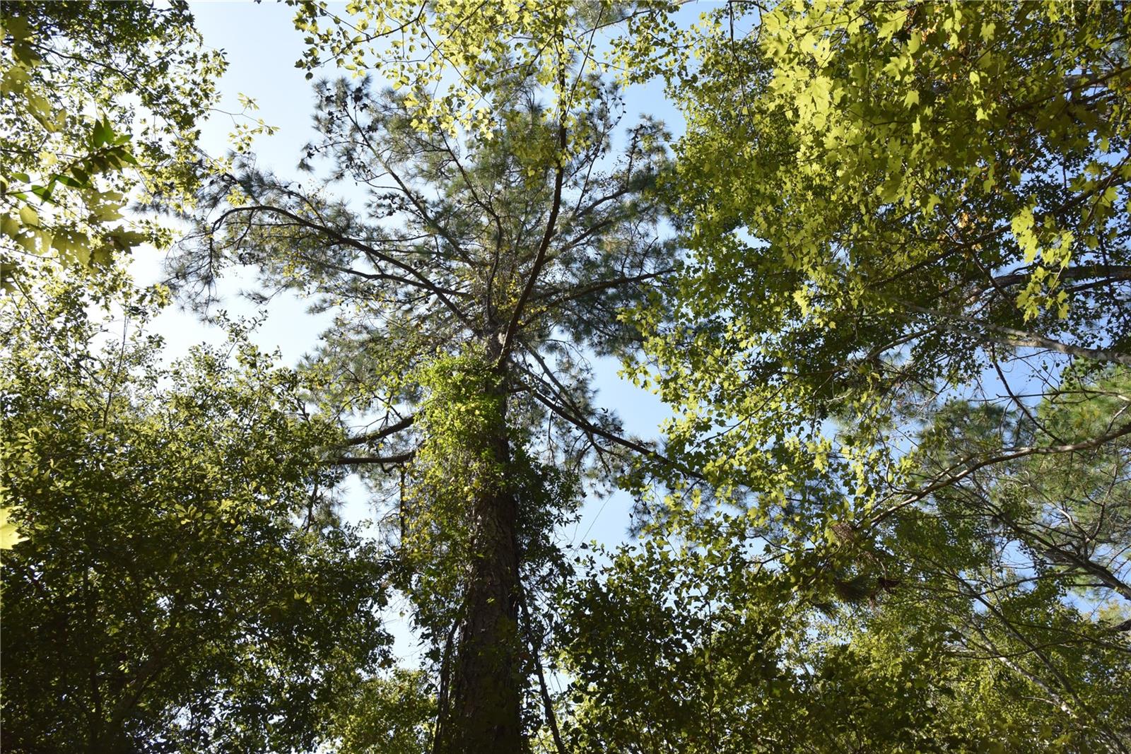 Image 15 of 31 For  24th Avenue 