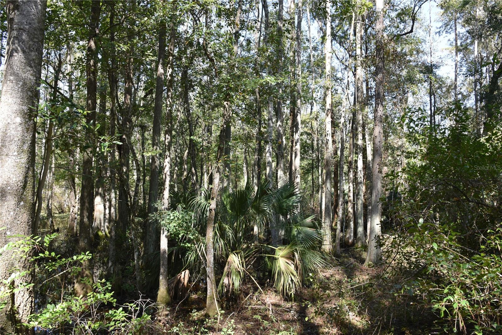 Image 16 of 31 For  24th Avenue 