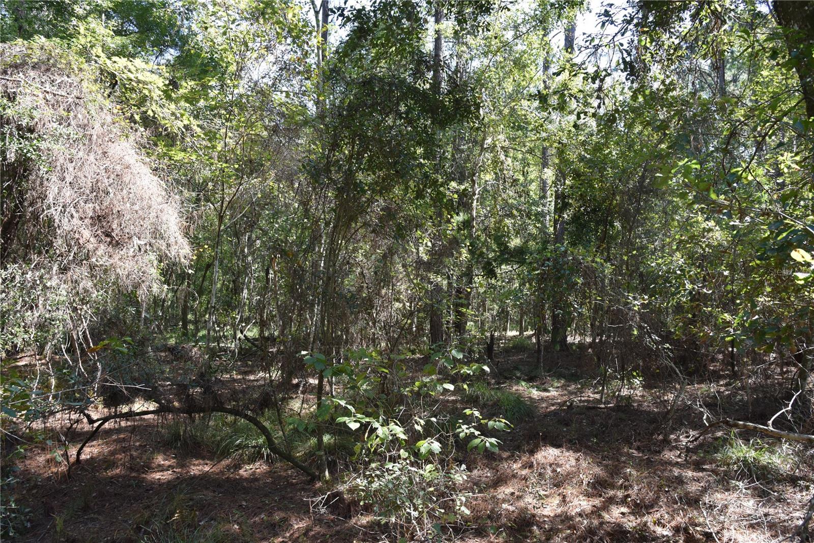 Image 17 of 31 For  24th Avenue 