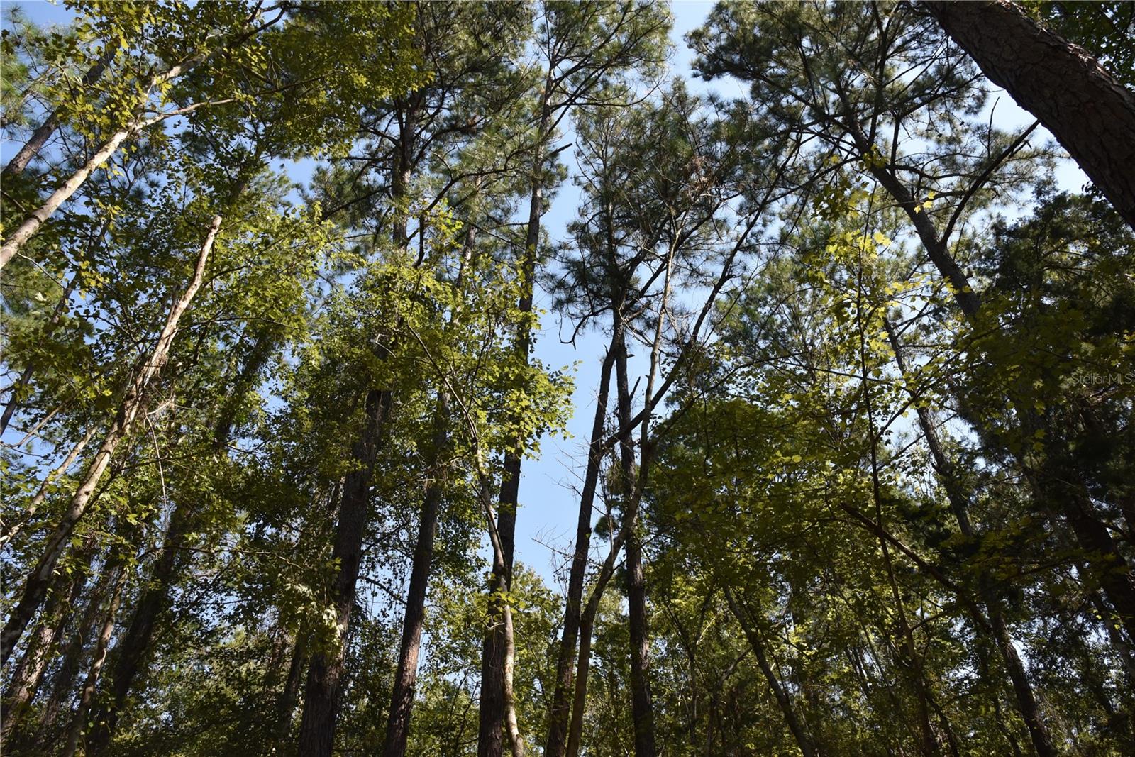 Image 18 of 31 For  24th Avenue 