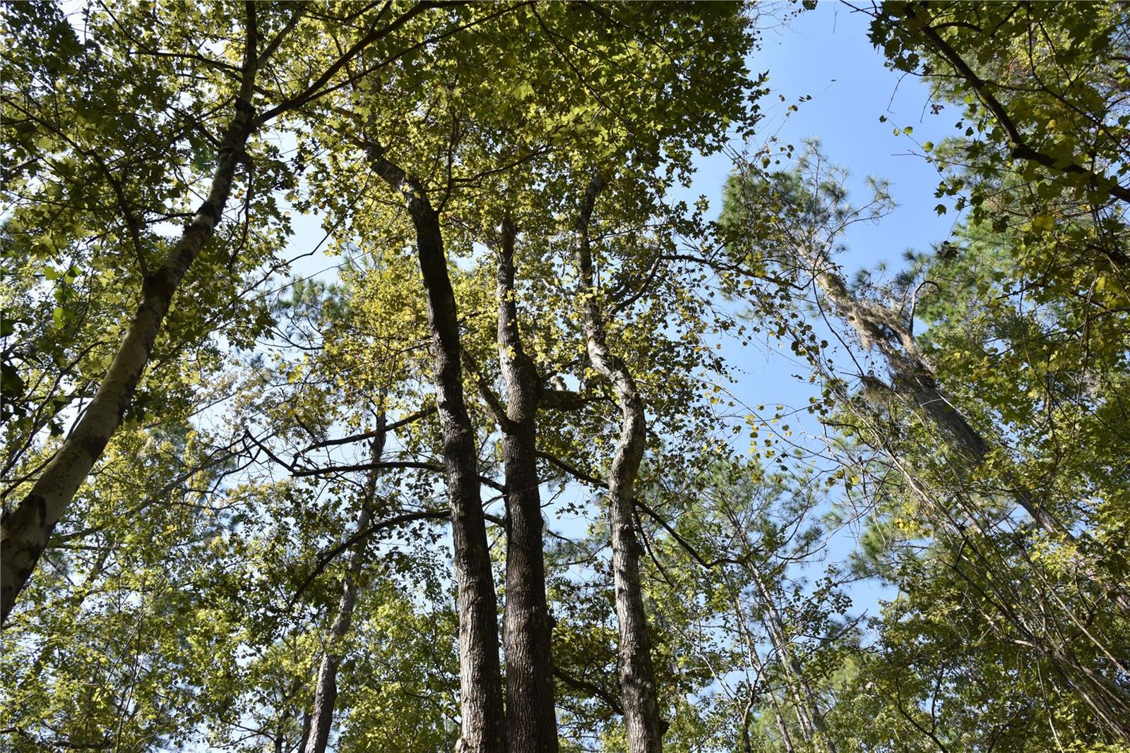 Image 19 of 31 For  24th Avenue 