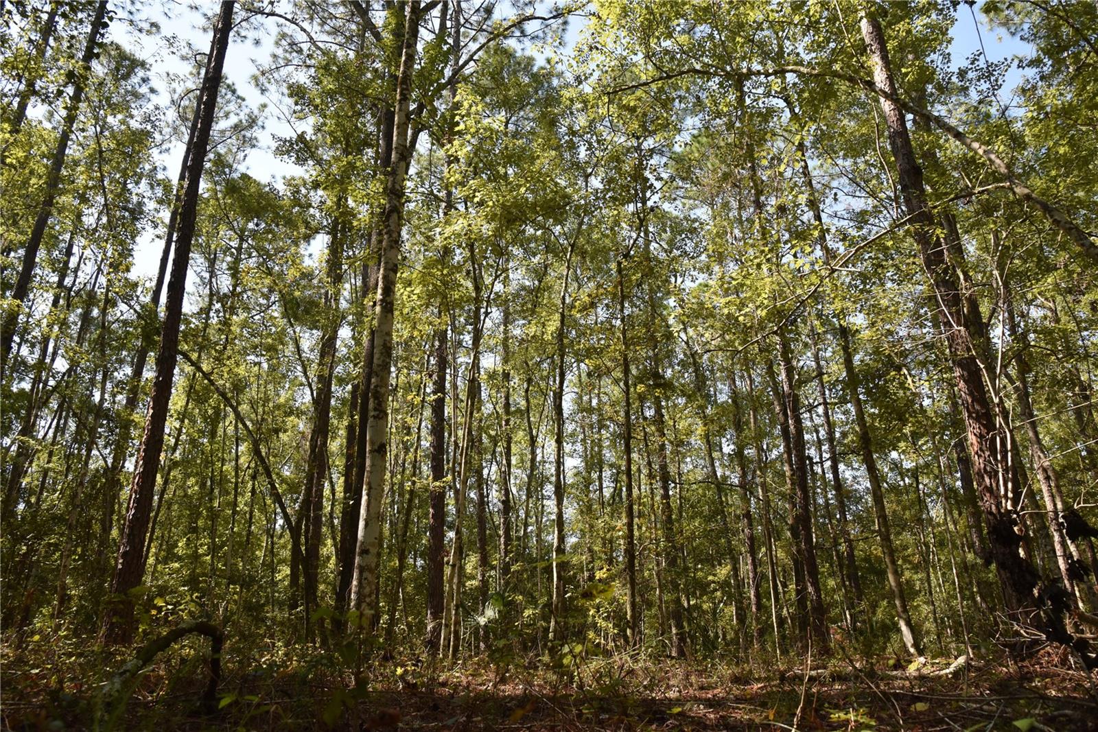 Image 2 of 31 For  24th Avenue 