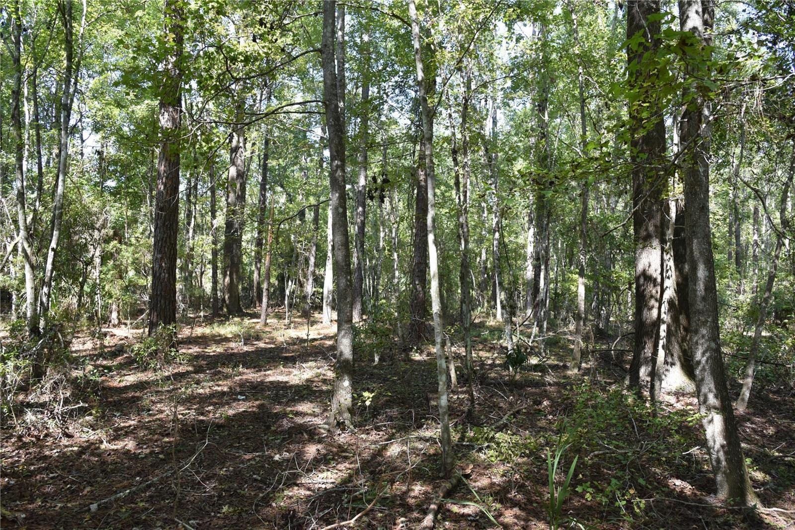 Image 20 of 31 For  24th Avenue 