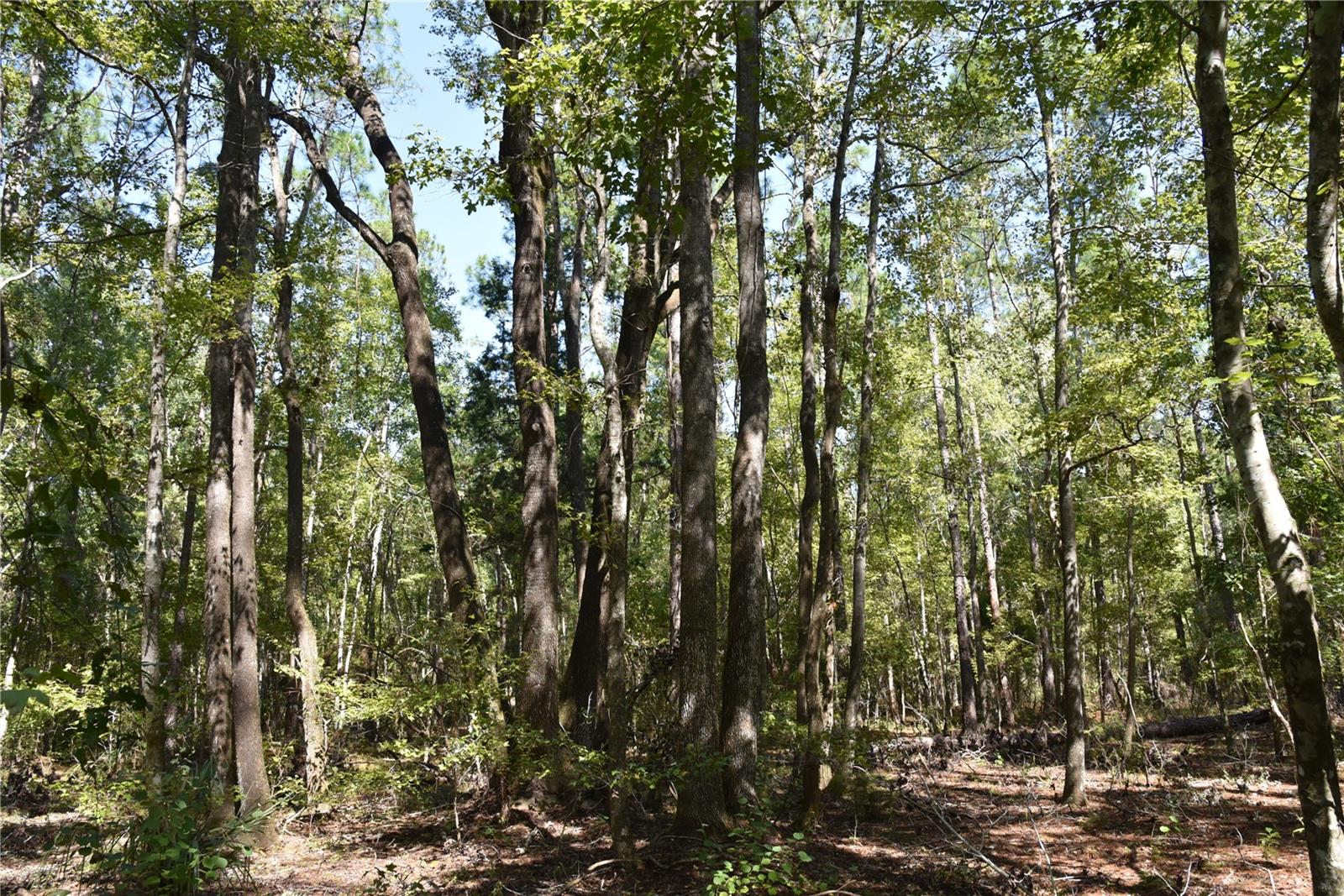 Image 21 of 31 For  24th Avenue 