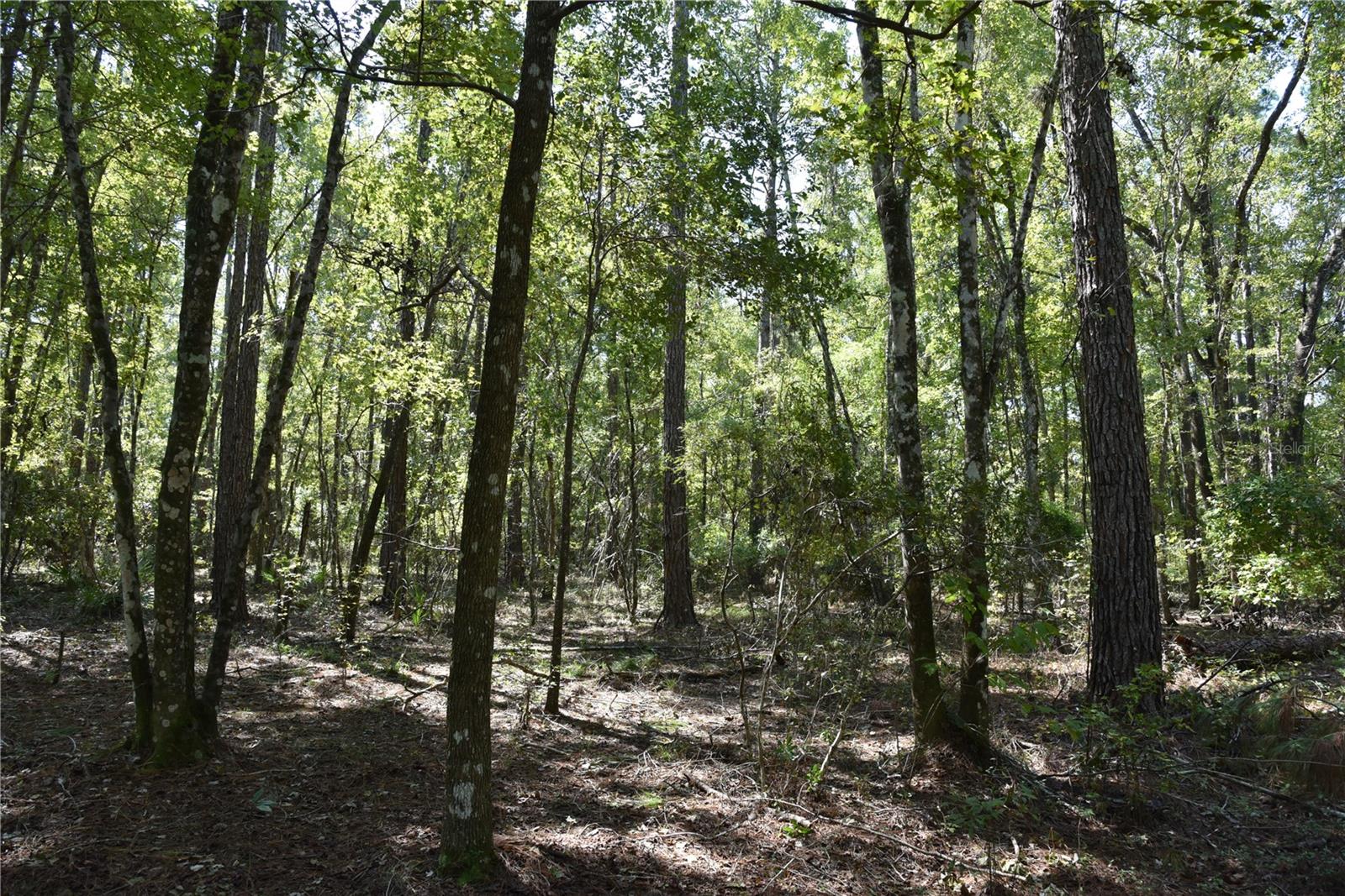 Image 22 of 31 For  24th Avenue 