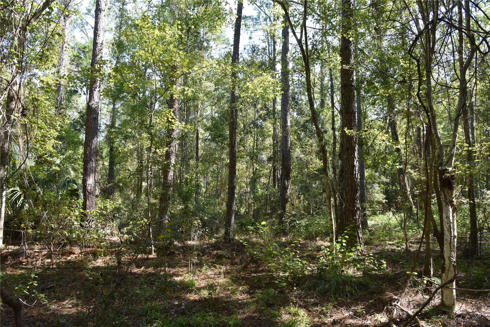 Image 23 of 31 For  24th Avenue 