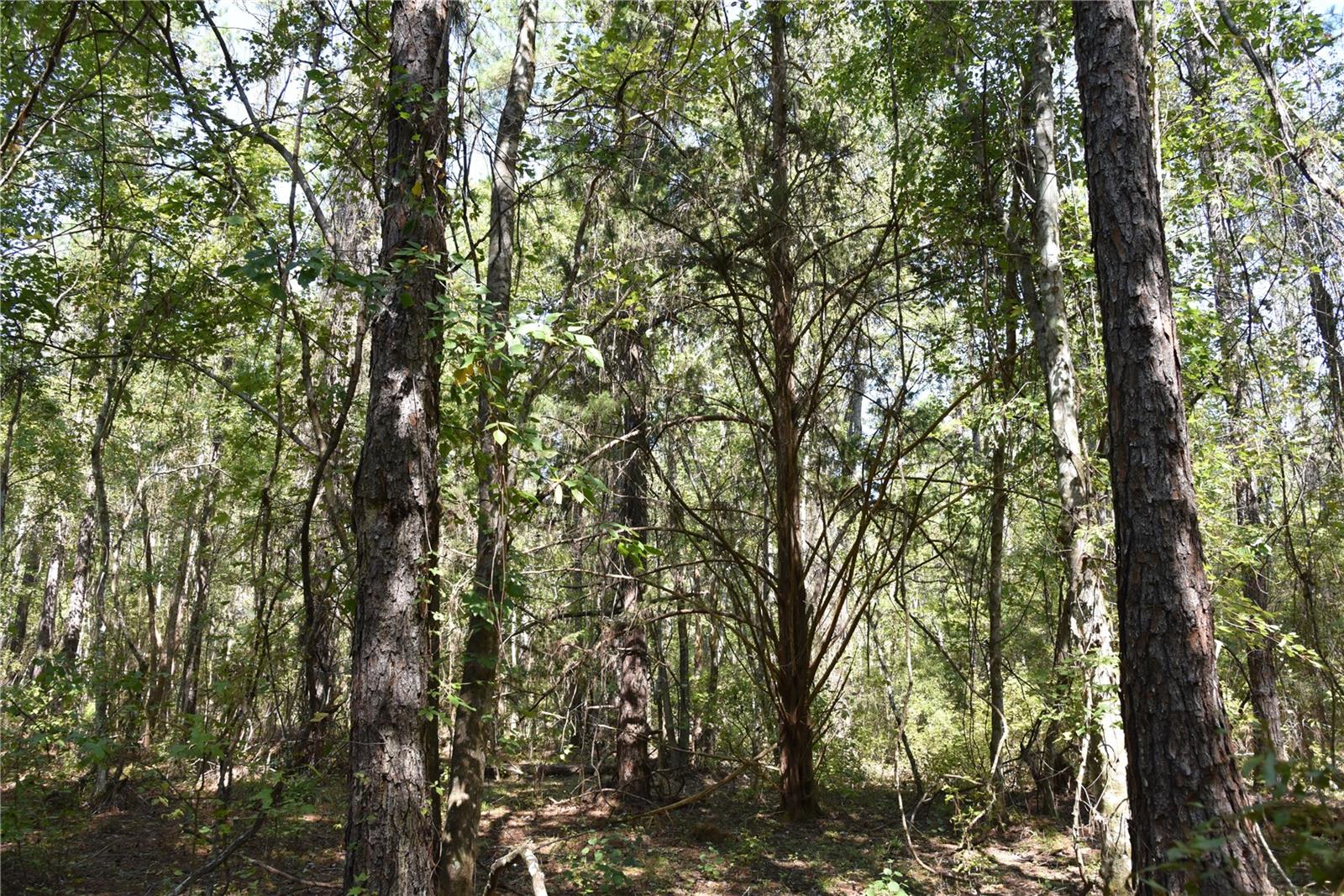 Image 24 of 31 For  24th Avenue 