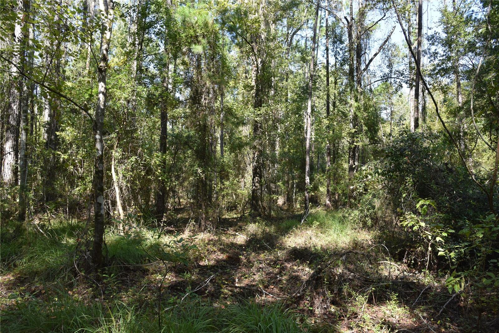 Image 25 of 31 For  24th Avenue 