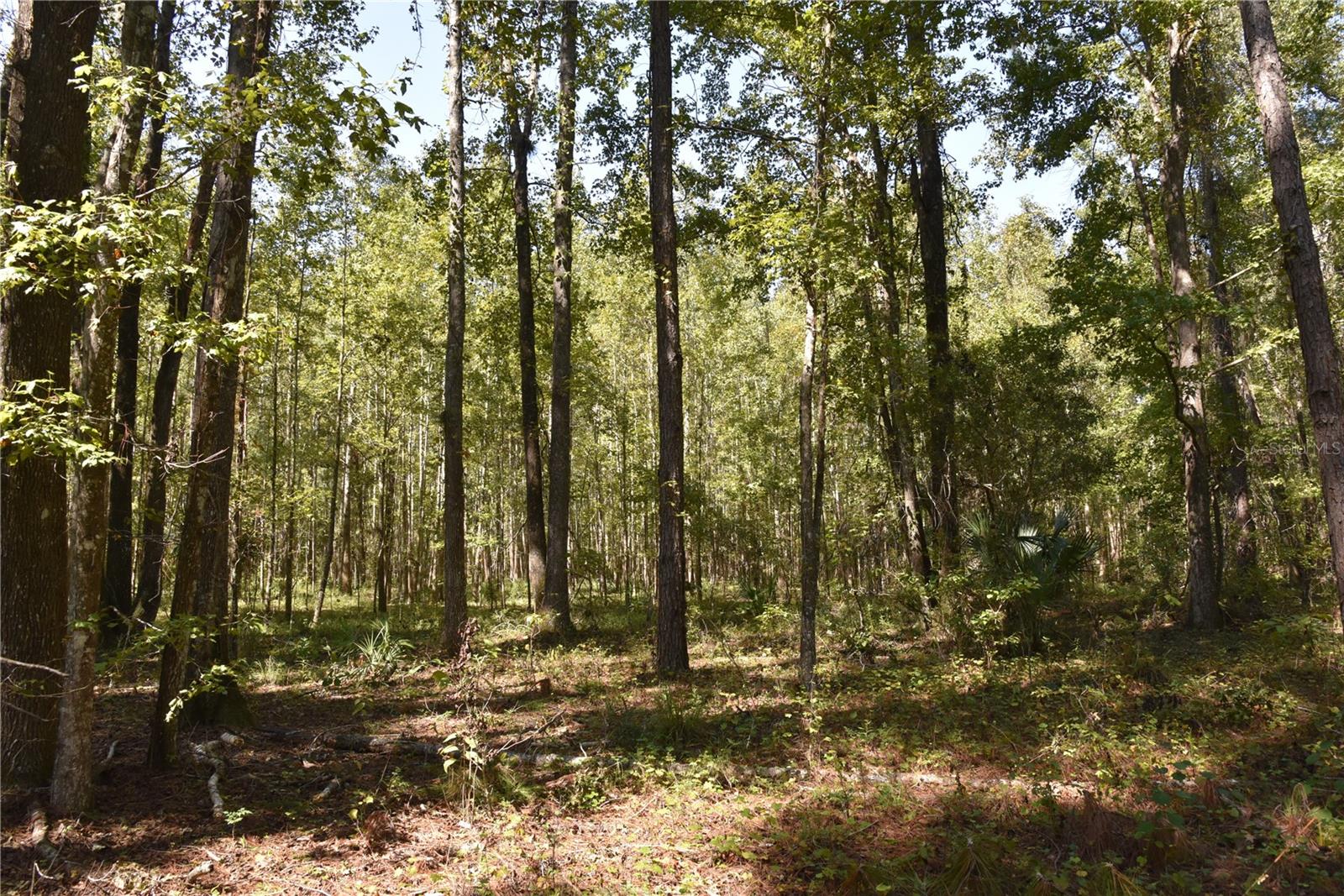 Image 26 of 31 For  24th Avenue 