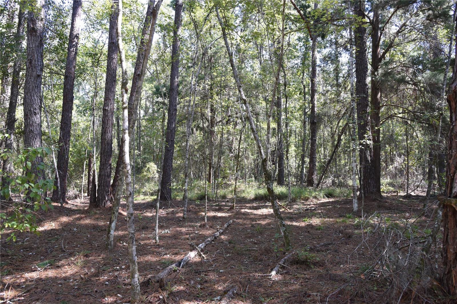 Image 27 of 31 For  24th Avenue 