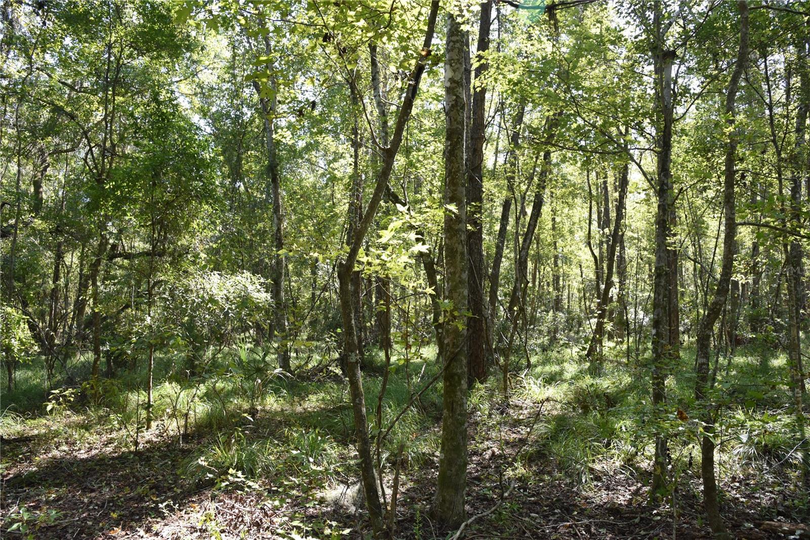 Image 29 of 31 For  24th Avenue 