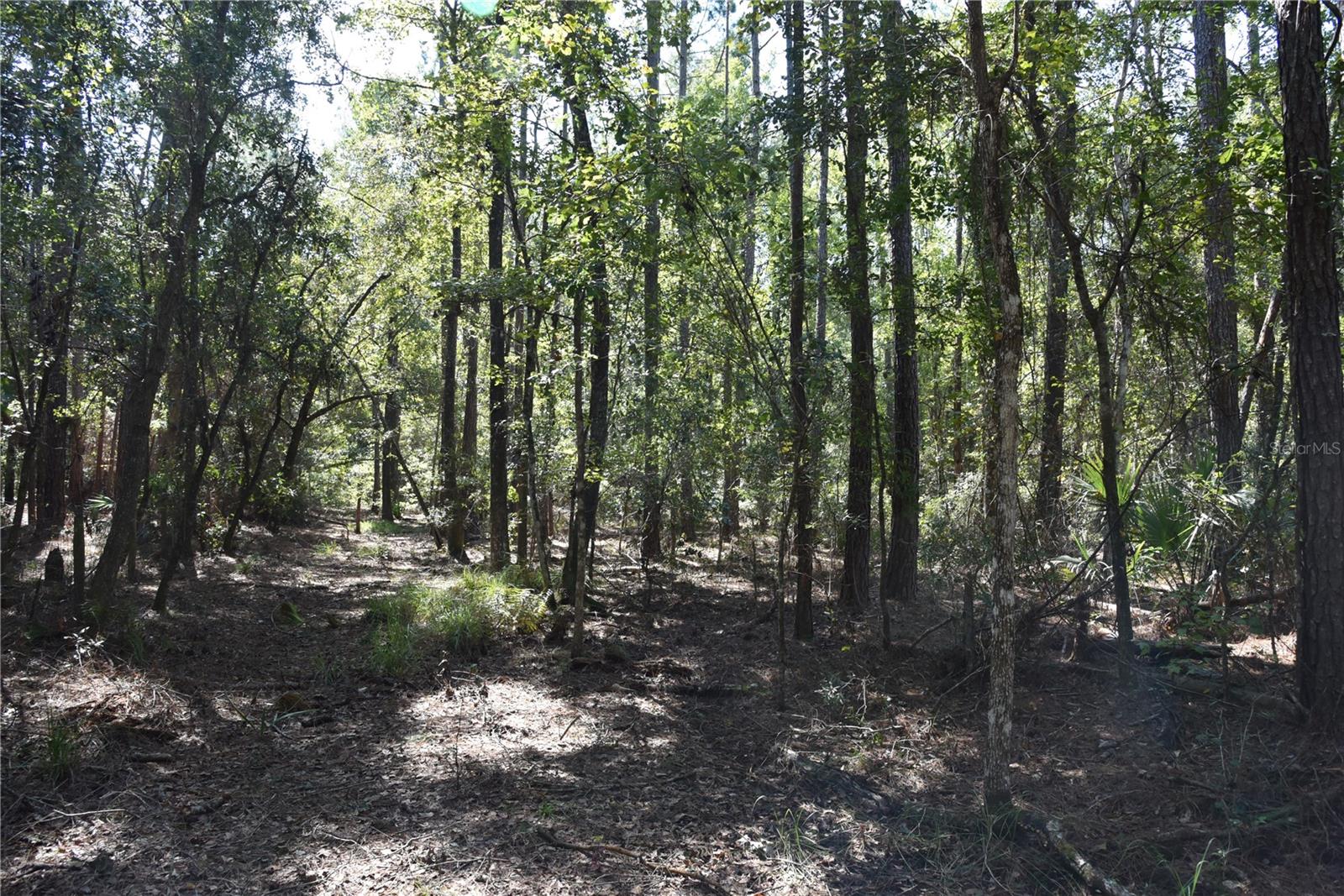 Image 30 of 31 For  24th Avenue 