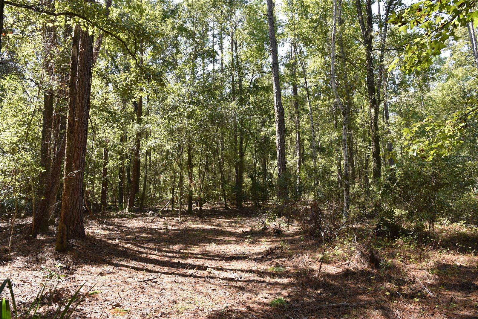 Image 31 of 31 For  24th Avenue 