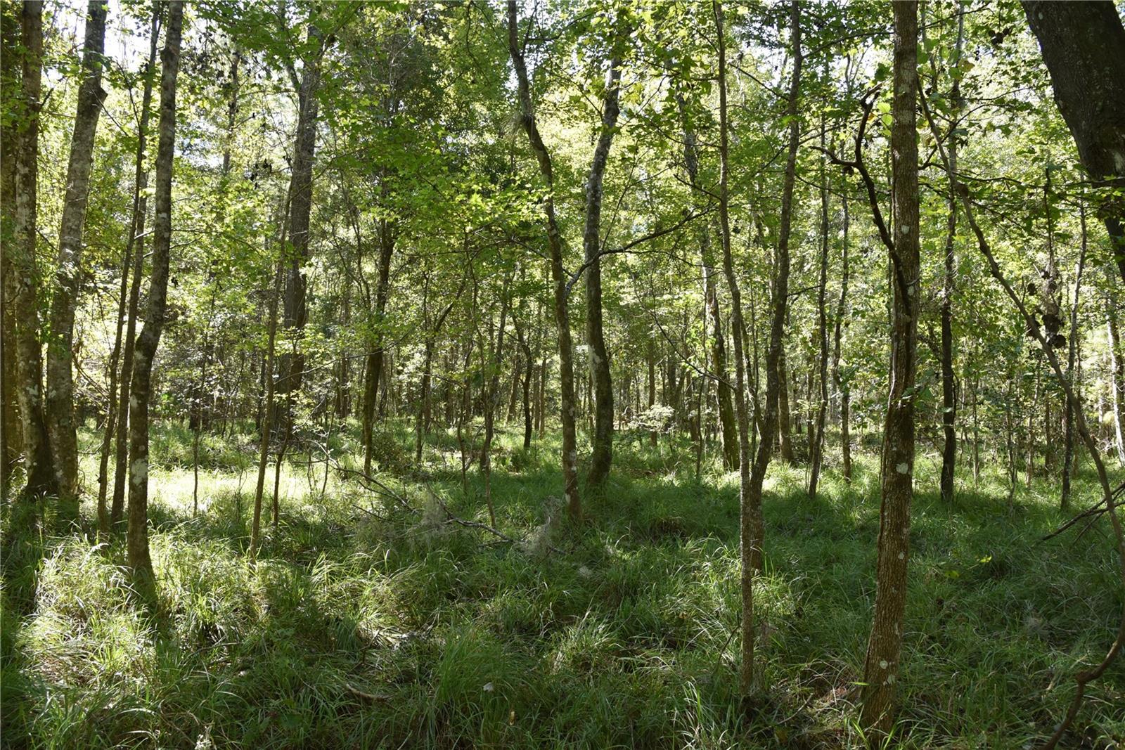 Image 4 of 31 For  24th Avenue 