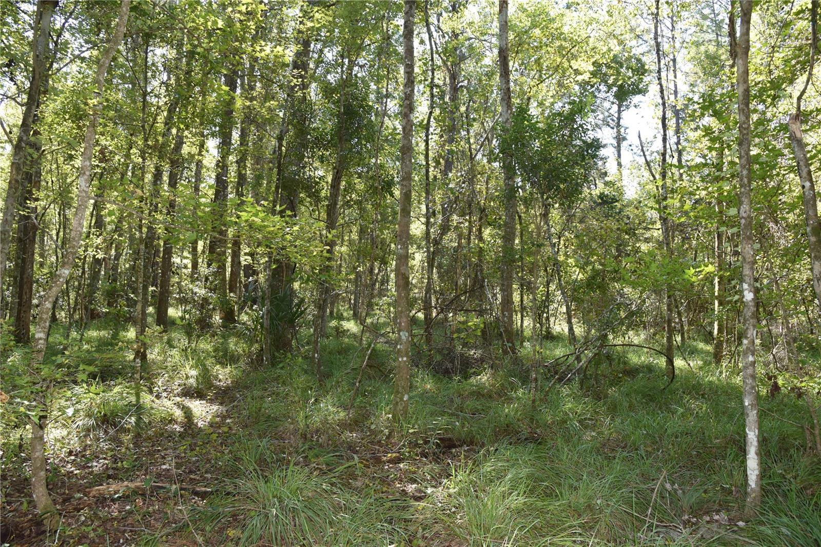 Image 5 of 31 For  24th Avenue 