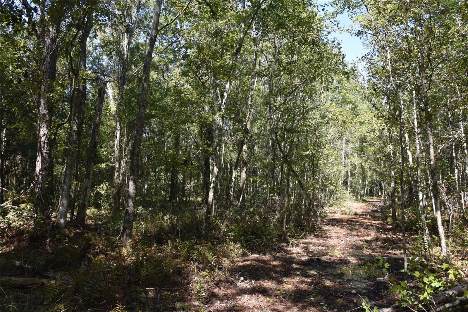 Image 6 of 31 For  24th Avenue 