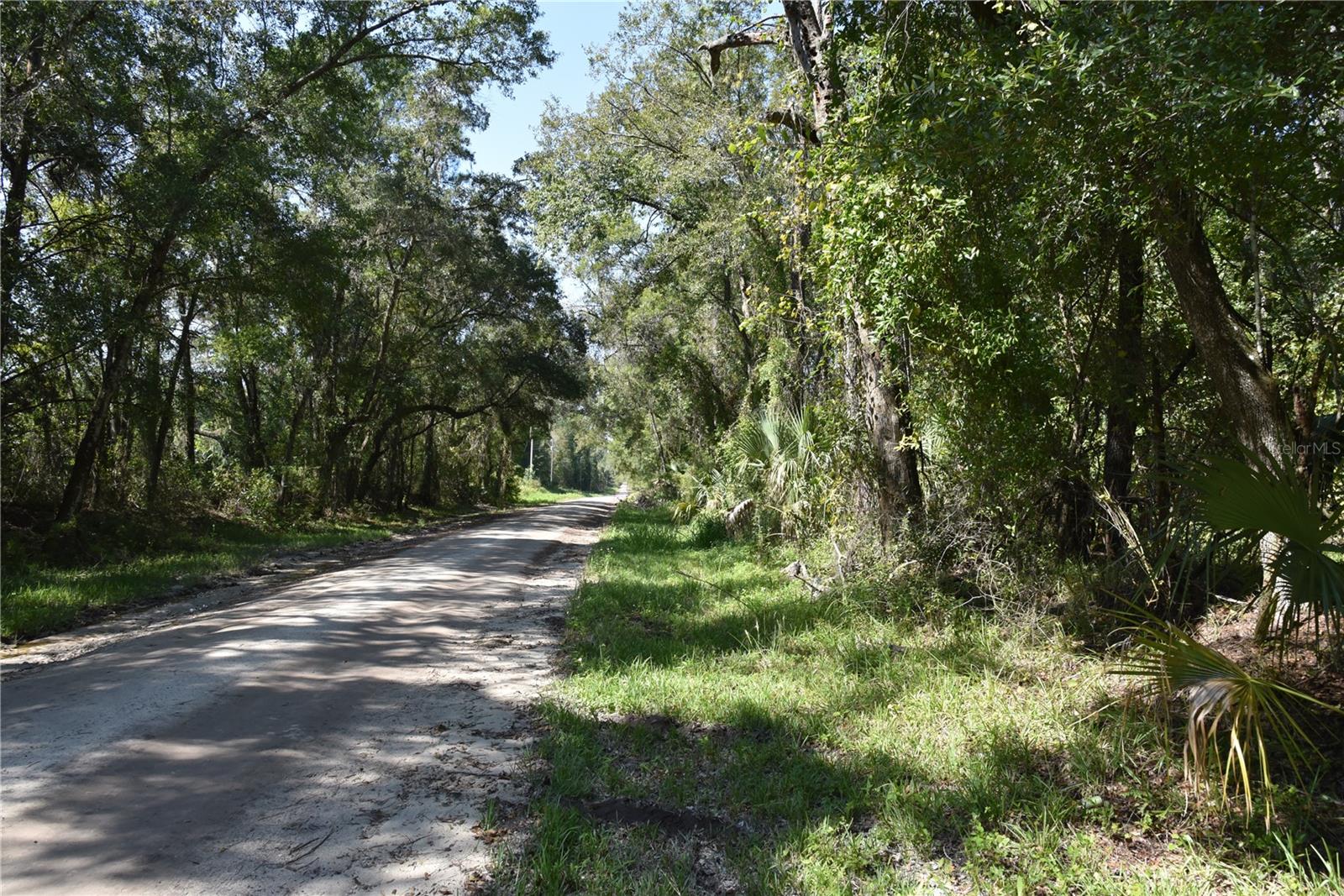 Image 7 of 31 For  24th Avenue 