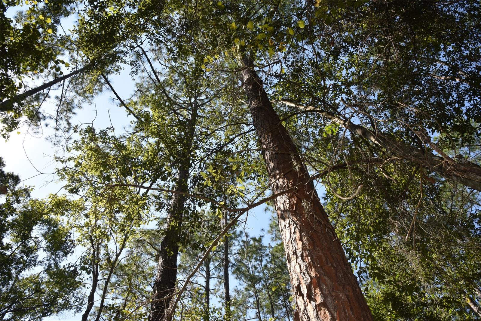 Image 9 of 31 For  24th Avenue 