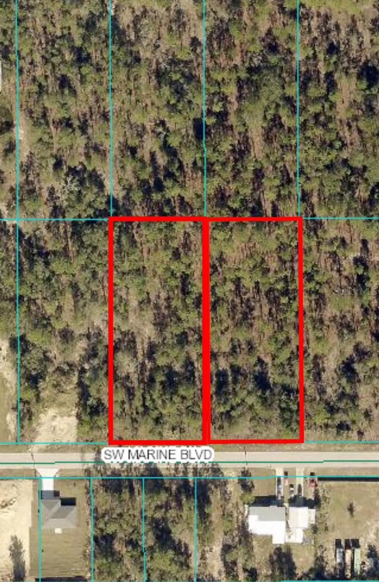 Listing Details for Lot 30-31 Marine Boulevard, DUNNELLON, FL 34431