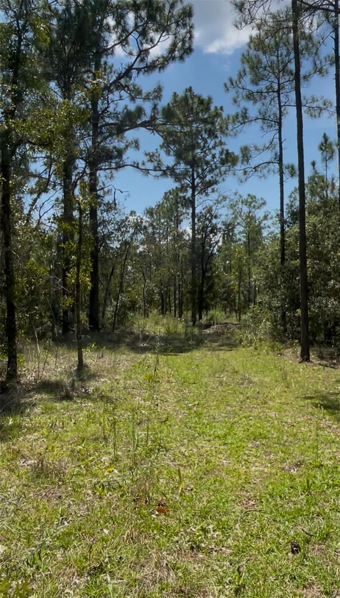 Image 10 of 10 For Tbd Sw Obee Ridge Rd